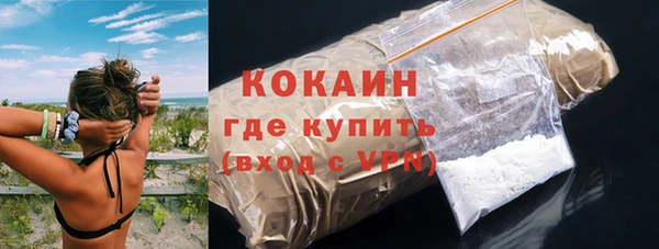 сатива Кулебаки