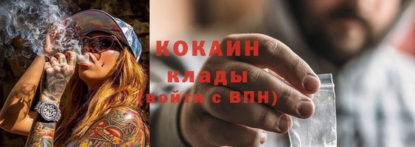 шишки Коряжма