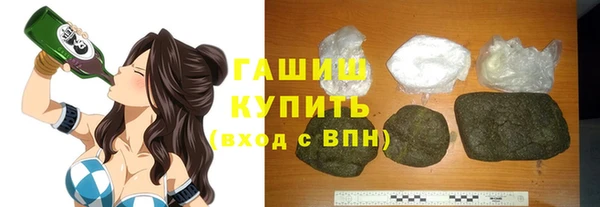 шишки Коряжма