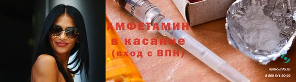 сатива Кулебаки