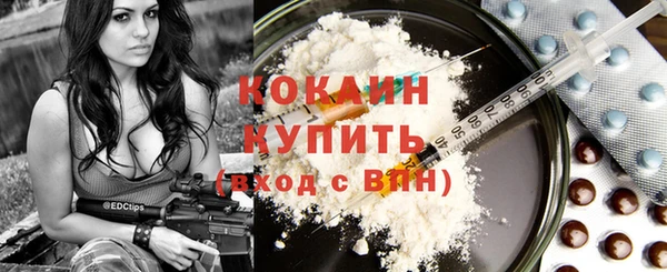 шишки Коряжма