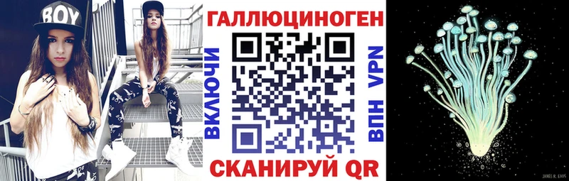Галлюциногенные грибы прущие грибы  Строитель 