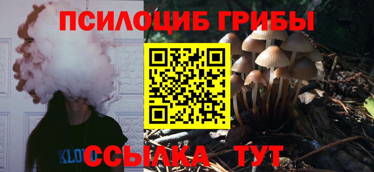 Строитель  сколько стоит  Вход с VPN  Псилоцибиновые грибы Cubensis 